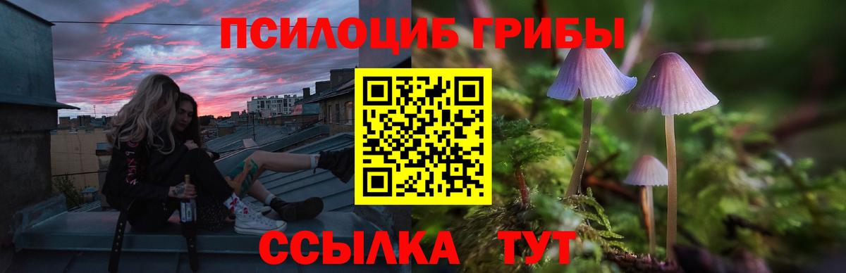 Псилоцибиновые грибы Psilocybine cubensis Ялта